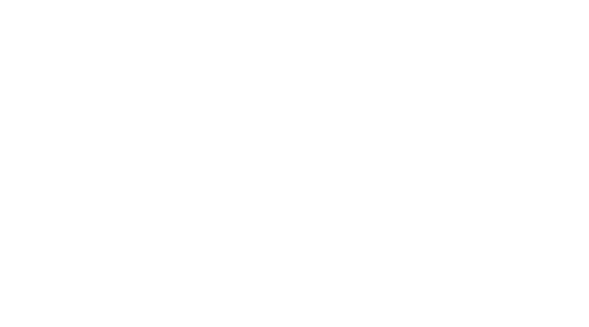 LMG strategie+creatie, organisatie